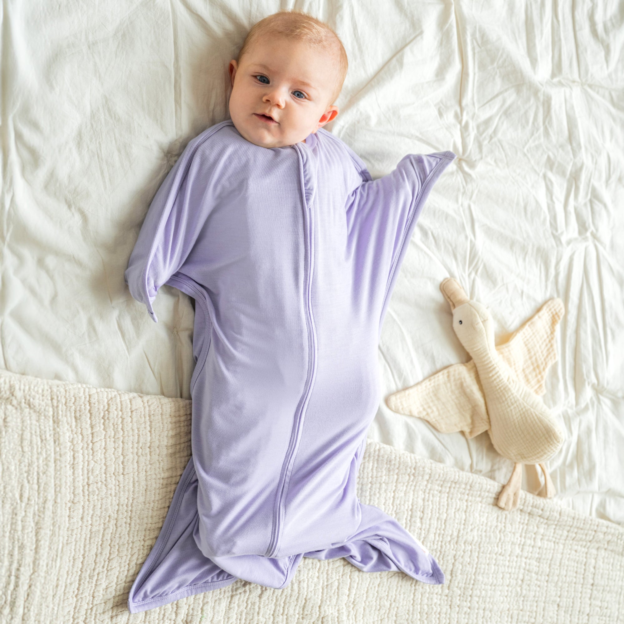 EverSoft Bamboo Zipadee Zip Swaddle Transition Lilac Sleeping Baby